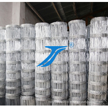 Filet de reproduction d&#39;usine de la Chine, treillis métallique soudé enduit par PVC de vente chaude